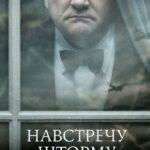 Навстречу Шторму Постер